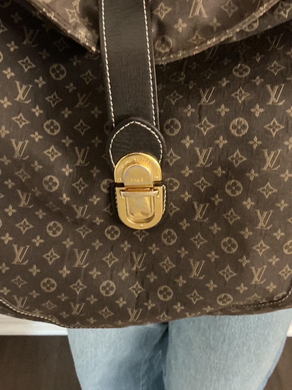 Louis Vuitton Designer Bag with Dust Bag - Picture 8 of 8